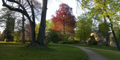 Bild: Ilmpark in Weimar