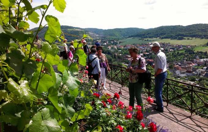 Fahrt ins Thüringer Weingebiet